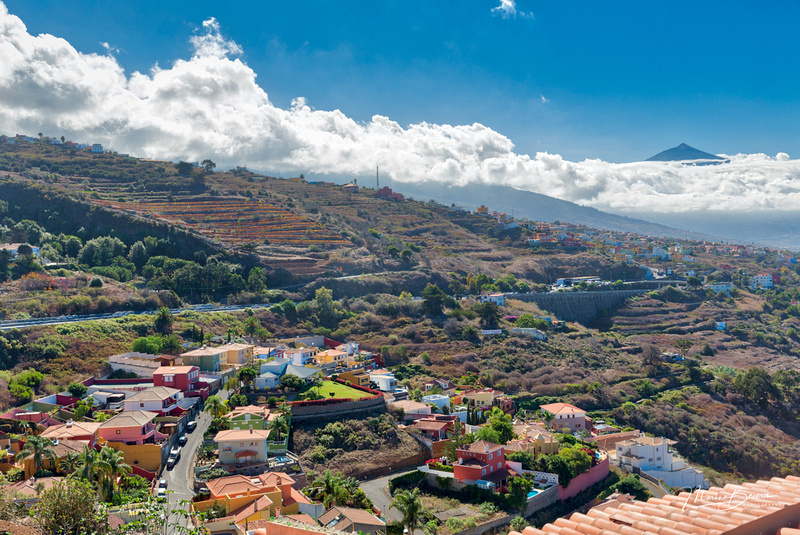 El Sauzal, Canary Islands